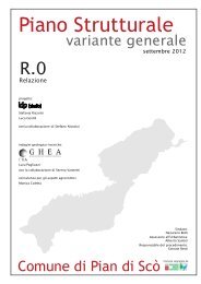 Relazione - Unione dei Comuni del Pratomagno