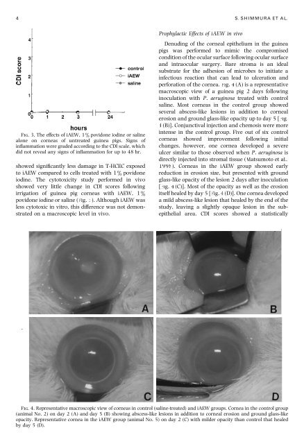 Acidic Electrolysed Water in the Disinfection of the Ocular Surface