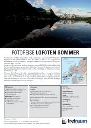 FOTOREISE LOFOTEN SOMMER - Freiraum Fotografie