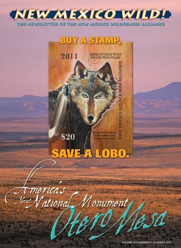 Summer 2010 Newsletter - New Mexico Wilderness Alliance