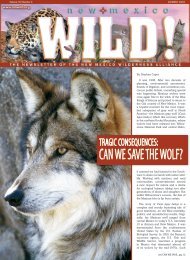 CAN WE SAVE THE WOLF? - New Mexico Wilderness Alliance