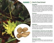 Devil's Claw Extract - Euromed