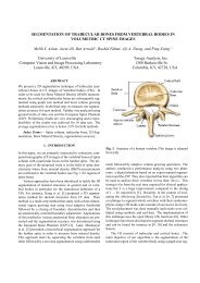 Segmentation of trabecular bones from vertebral bodies in ...