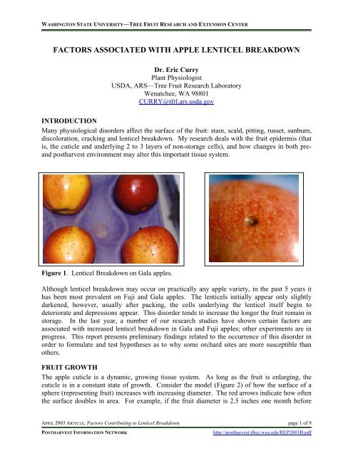 https://img.yumpu.com/37097308/1/500x640/factors-associated-with-apple-lenticel-breakdown-postharvest-.jpg