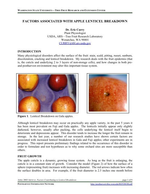 Fuji Apple Fruit Quality: Effect of Harvest Maturity and Storage  Temperatures