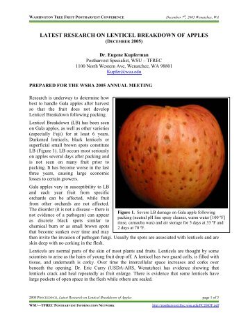 Latest Research on Lenticel Breakdown of Apples - Postharvest ...
