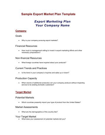 Appendix D: Sample Export Plan Template