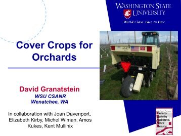 Cover Crops for Orchards - Tree Fruit Research & Extension Center