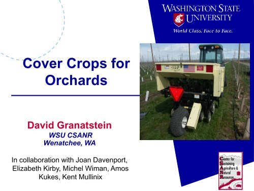 Cover Crops for Orchards - Tree Fruit Research & Extension Center