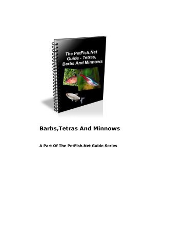 PetFish.Net Guide - Barbs, Tetras And Minnows