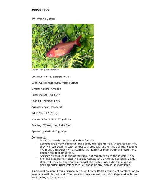 PetFish.Net Guide - Barbs, Tetras And Minnows