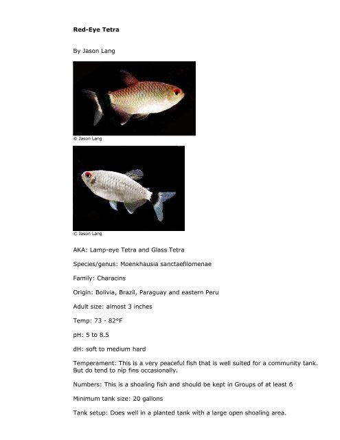 PetFish.Net Guide - Barbs, Tetras And Minnows