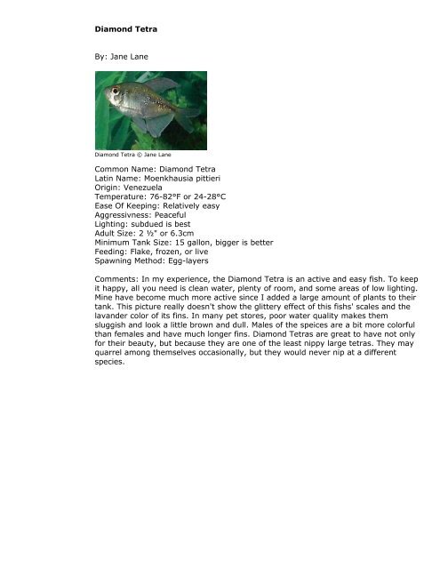 PetFish.Net Guide - Barbs, Tetras And Minnows