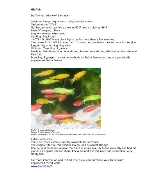 PetFish.Net Guide - Barbs, Tetras And Minnows