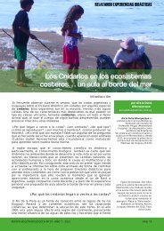 Los Cnidarios en los ecosistemas costerosâ¦ un ... - BoletÃ­n BiolÃ³gica