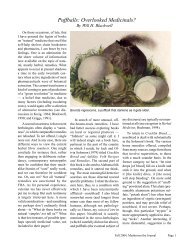 Puffballs: Overlooked Medicinals? - Mushroom, the Journal of Wild ...