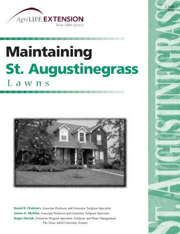 Maintaining St. Augustinegrass Lawns - Texas AgriLife Extension ...