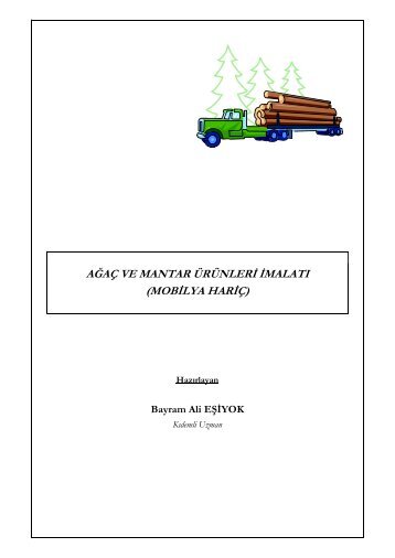 Ağaç ve Mantar Ürünleri İmalatı