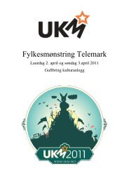 Program UKM 2011