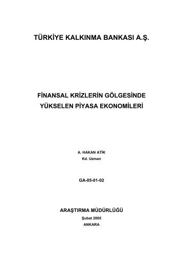 Finansal Krizlerin Gölgesinde Yükselen Piyasa Ekonomileri