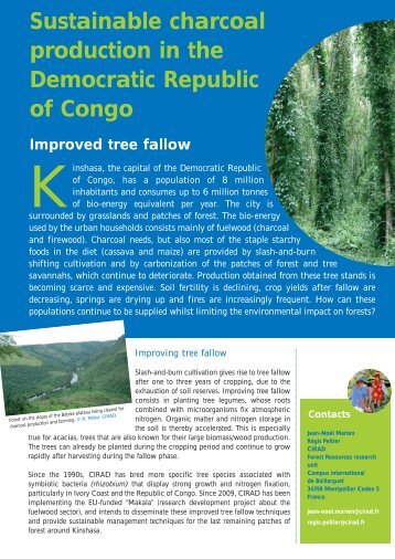 Sustainable charcoal production in the Democratic Republic of Congo