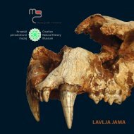 Katalog Lavlja jama - Muzej grada Crikvenice