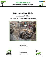 Bois Ã©nergie en RDC : - Cirad