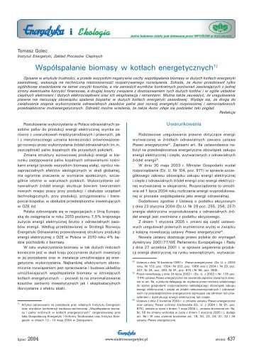 Współspalanie biomasy w kotłach energetycznych - Energetyka