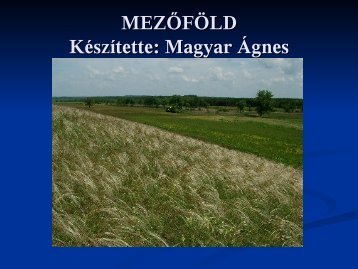 MEZÅFÃLD KÃ©szÃ­tette: Magyar Ãgnes