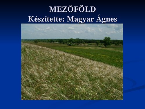 MEZÅFÃLD KÃ©szÃ­tette: Magyar Ãgnes