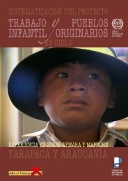 Trabajo Infantil y Pueblos Originarios en Chile