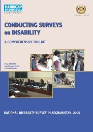 Conducting Surveys on Disability: A Comprehensive Toolkit