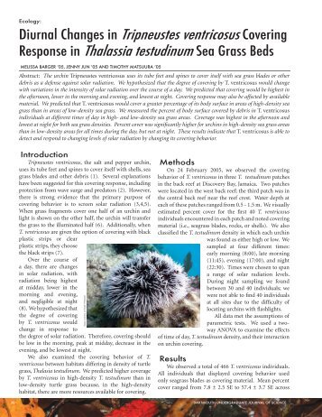 Diurnal Changes in Tripneustes ventricosus Covering Response in ...