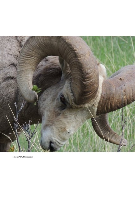 2012-2013 - Alberta Conservation Association