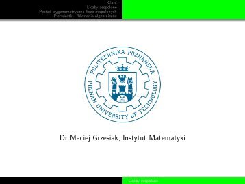 Dr Maciej Grzesiak, Instytut Matematyki - Instytut Matematyki PP