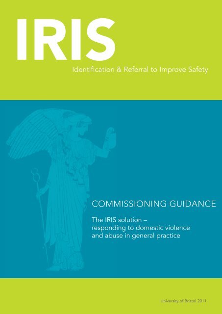 COMMISSIONING GUIDANCE - IRIS