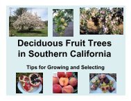 Deciduous Fruit Trees in Southern California - California Rare Fruit ...