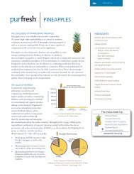 PINEAPPLES - Purfresh