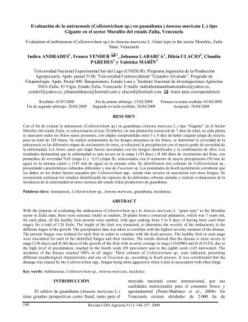 EvaluaciÃ³n de la antracnosis (Colletotrichum sp.) en guanÃ¡bana ...