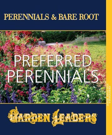 Garden Leader Perennials - Grimes Horticulture