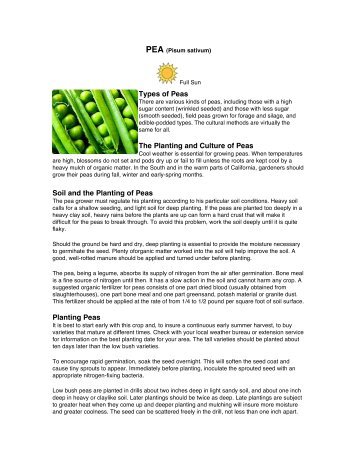 Types of Peas The Planting and Culture of Peas Soil and the ...