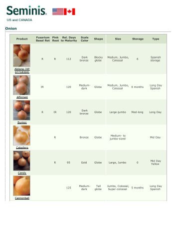 Seminis ~ Products ~ Products ~ Onion