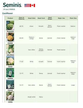 Seminis ~ Products ~ Products ~ Cauliflower