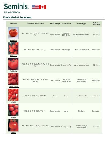 Seminis ~ Products ~ Products ~ Fresh Market Tomatoes