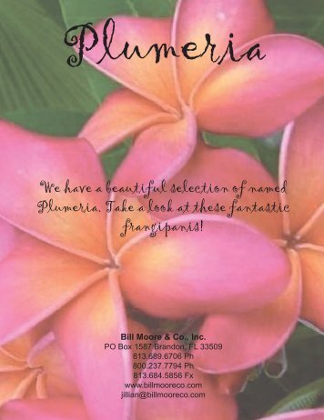 Named Plumeria - Bill Moore & Co., Inc