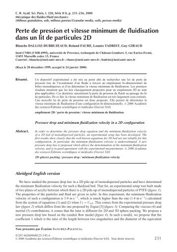 Perte de pression et vitesse minimum de fluidisation dans un ... - iusti