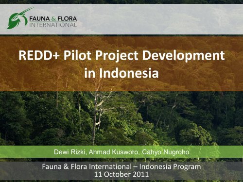 REDD+ Pilot Project Development in Indonesia - Forest Climate ...
