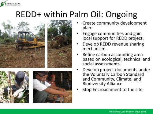 REDD+ Pilot Project Development in Indonesia - Forest Climate ...