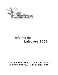 Labores Labores 2006 - Instituto de Neurobiología - Universidad ...