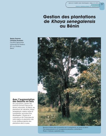 Gestion des plantations de Khaya senegalensis au Bénin